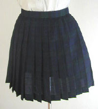 オリジナルグリーン×紺チェックプリーツスカート(30cm丈)
