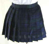 オリジナルグリーン×紺チェックプリーツスカート(30cm丈)