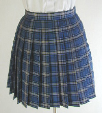 オリジナルブルー×水色チェックプリーツスカート(30cm丈)