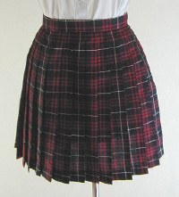 オリジナル赤×黒タータンチェックプリーツスカート(30cm丈)